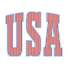 Load image into Gallery viewer, USA Tee